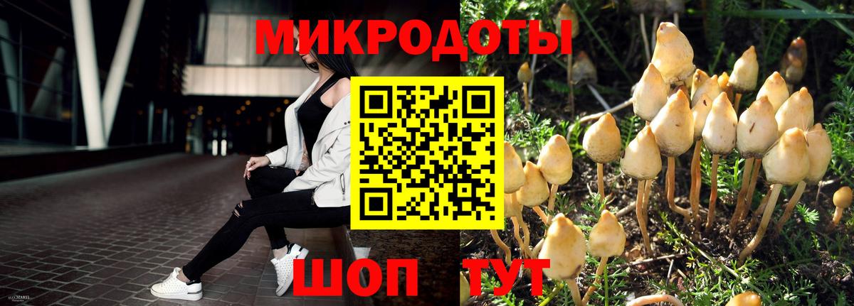 Ростов Великий  Галлюциногенные грибы ЛСД  Вход с VPN 